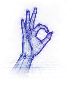 Tracked hand with landmarks
